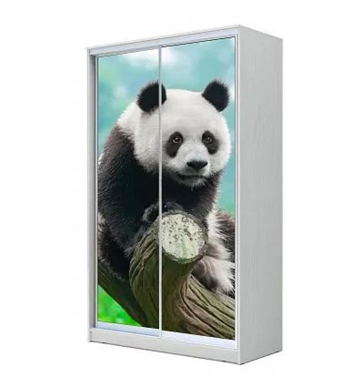 Шкаф-купе ХИТ 22-15-77 (620) | фото 6