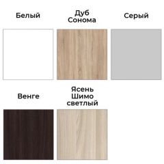 Шкаф-купе ХИТ-У-L-24-64-66 | фото 4