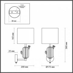 Бра Odeon Light Cactus 5425/1W | фото 5