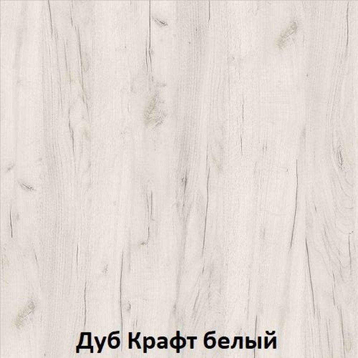 ДАРЬЯ Гостиная (Крафт серый/Крафт белый) | фото 3